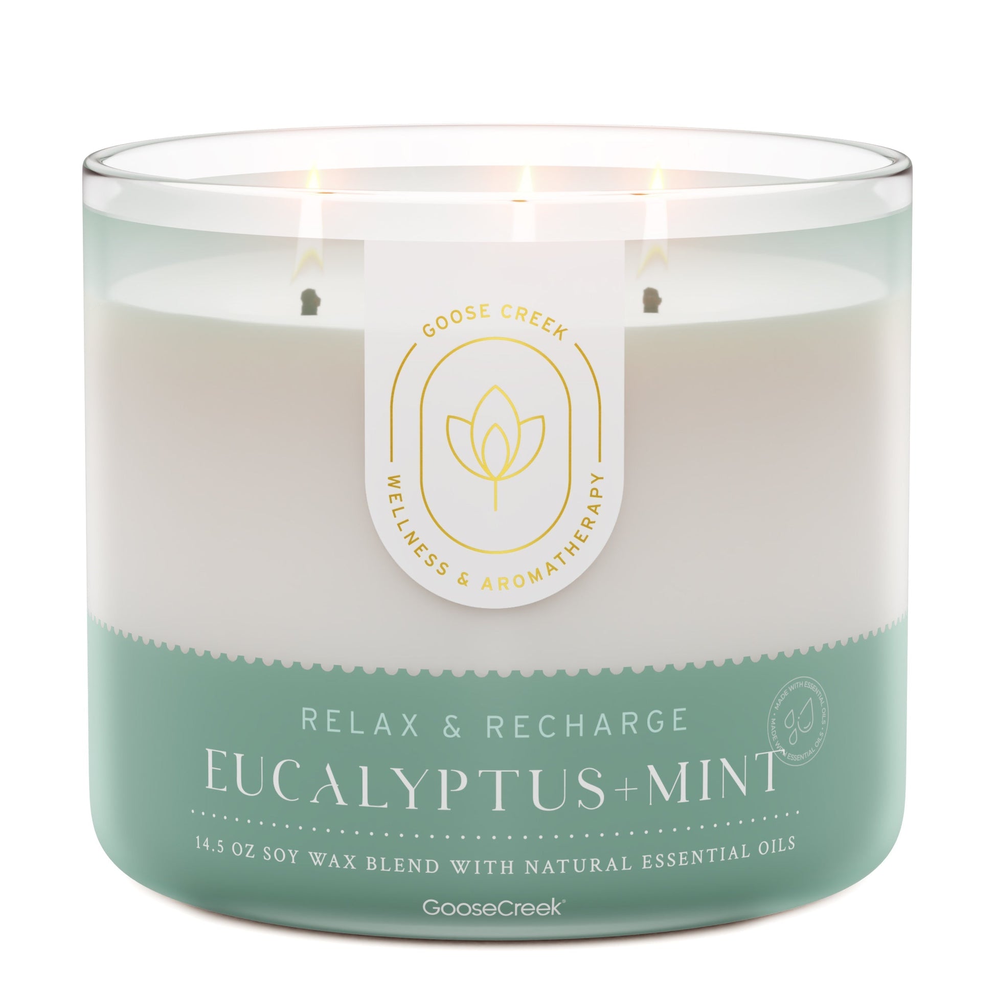 Eucalyptus & Mint Aromatherapy 3-Wick Candle