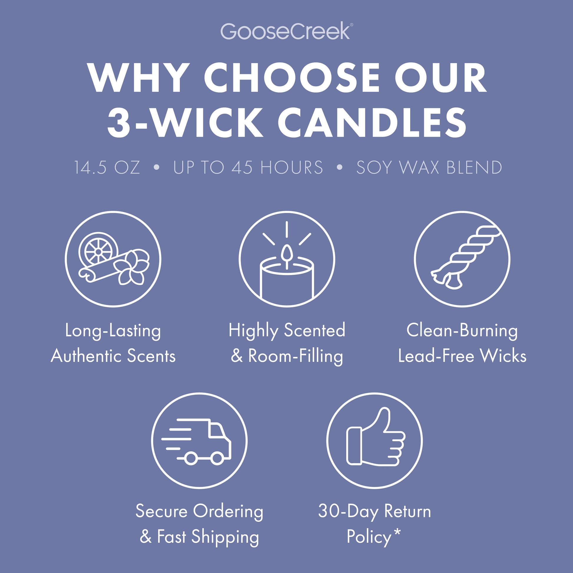 Fairly Odd Parents Nickelodeon 3-Wick Candle
