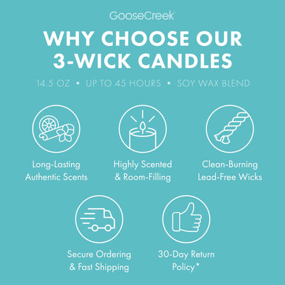 Hey Arnold Nickelodeon 3-Wick Candle