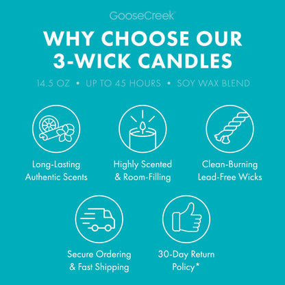 Tropical Daydream 3-Wick Candle